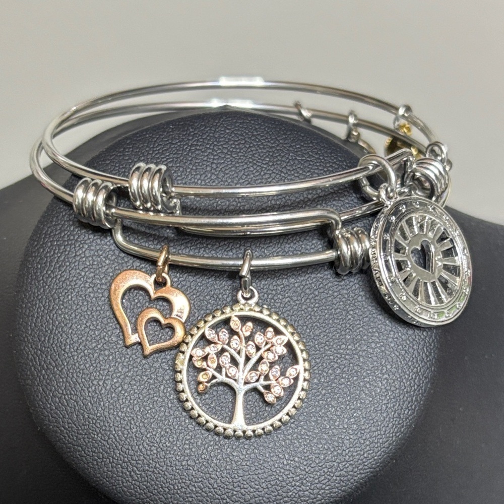 Alex and Ani Charm Bracelet Adjustable Silver Tone Bundle of Two Tree Heart